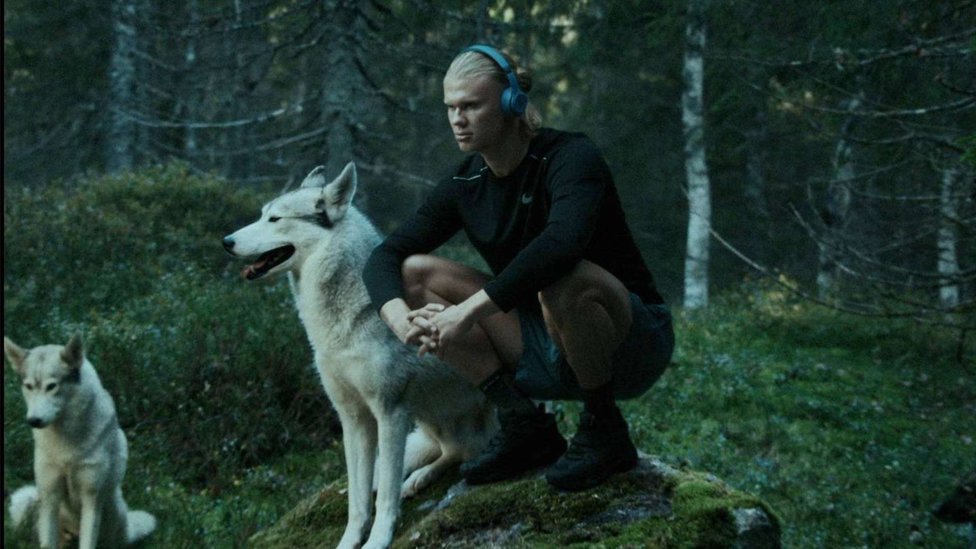 他短暫效力 他短暫效力